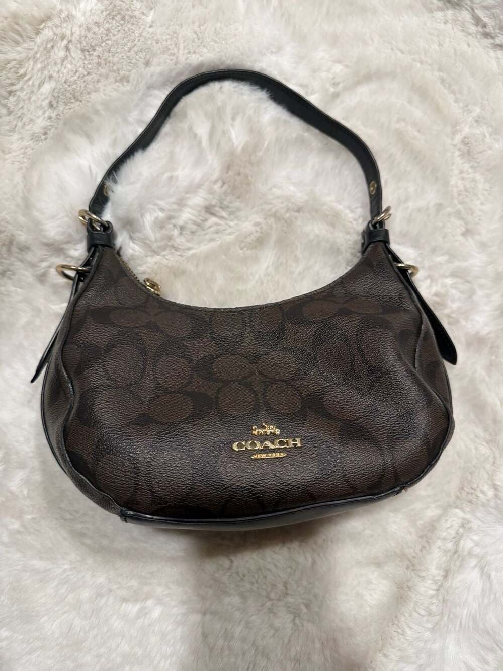 Coach Teri Hobo Bag in Signature Canvas